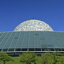 adler planetarium parking